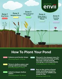 Envii-Pond-Plant-Zones.jpg