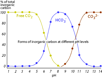 wqassess3bpict1-gif.gif