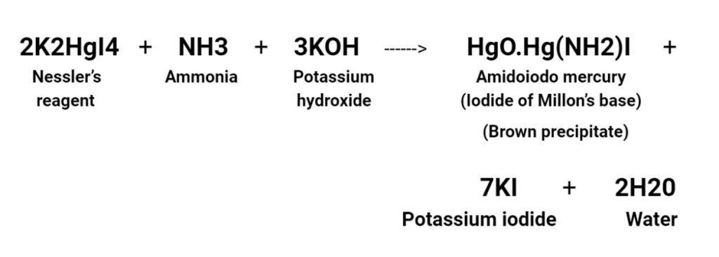 Nesslers-reagent-1024x367.jpg