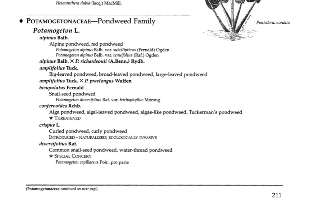 3-I-23-Wisconsin=Potamogeton-checklist-I.jpg