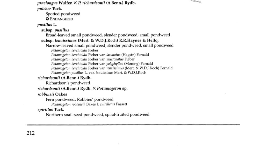 3-I-23-Wisconsin=Potamogeton-checklist-III.jpg