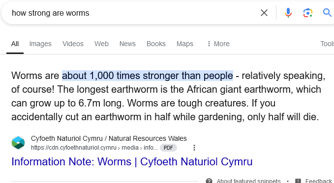 Screenshot 2024-11-20 at 17-39-20 how strong are worms - Google Search.png