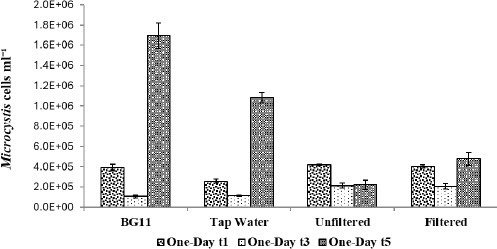 Phalaris_Paper_a_2426388_f0003_c.jpg