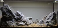 IMG_8925_rock+hardscape.jpg