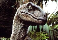 141_velociraptor.jpg