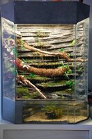 paludarium-2.jpg