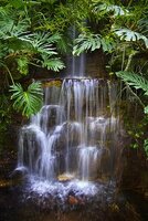 dirt_58710314_poH3mwH5_RainforestWaterfall_33571v2.jpg