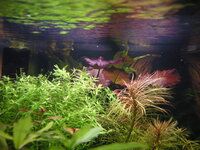 FishTank61211number1.jpg