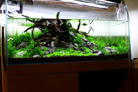 waterchange1.jpg