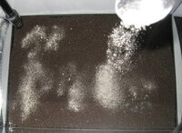 Some%252520mironekuton%252520mineral%252520powder.jpg