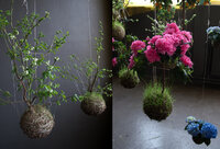 string-gardens-2.jpg