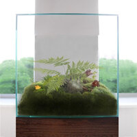 030810_delicate+glass+terrarium+350usd.jpg