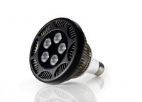 ecoxotic-par38-led-420x302.jpg