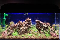 hardscape_resized.jpg