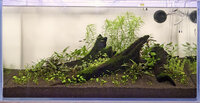 20100621_fish_tank_0003.jpg