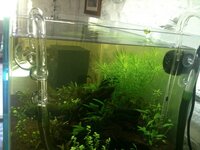 20100622_fish_tank_0001.jpg