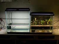 21-vi-10-diptych-tank-i-m.jpg