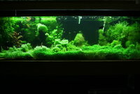 fishtank141.jpg