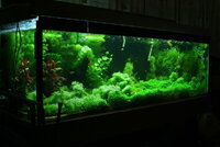 fishtank157.jpg