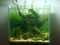 fishtank144.jpg