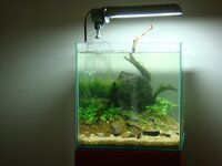 fishtank078.jpg