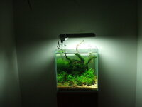 fishtank110.jpg