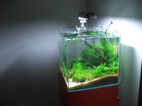 fishtank111.jpg