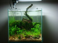 fishtank090.jpg