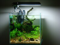 fishtank002.jpg