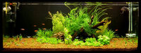 TankJune09-01.jpg