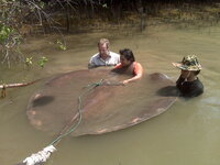 robson_green_extreme_fishing_thailand_stingray_8_2.jpg