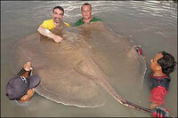 easting-ray.jpg