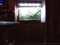 full%20setup%20view.gif