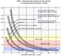 parvsdistvariousbulbs2-jpg.13889.jpg