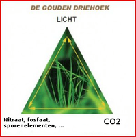 verhouding-CO2-draadalg.png