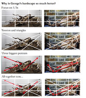 Hardscape%20comparison.003.jpg