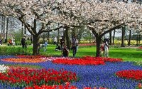 1572_fullimage_keukenhof%20park%20mensen_560x350.jpg