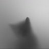 Fogcat