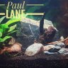 Paul Lane