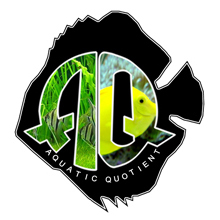 www.aquaticquotient.com